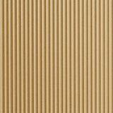 Argent Gold | Rib 2 | Wall Panel | Triangle-Products.com