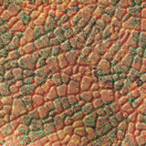 Copper Fantasy | Safari | Wall Panel | Triangle-Products.com