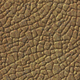 Cracked Copper | Safari | Wall Panel | Triangle-Products.com