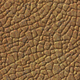 Cracked Copper | Safari | Wall Panel | Triangle-Products.com