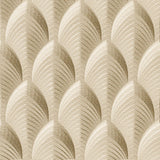 Almond | South Beach | Tegular Lay In Ceiling Tile | Triangle-Products.com